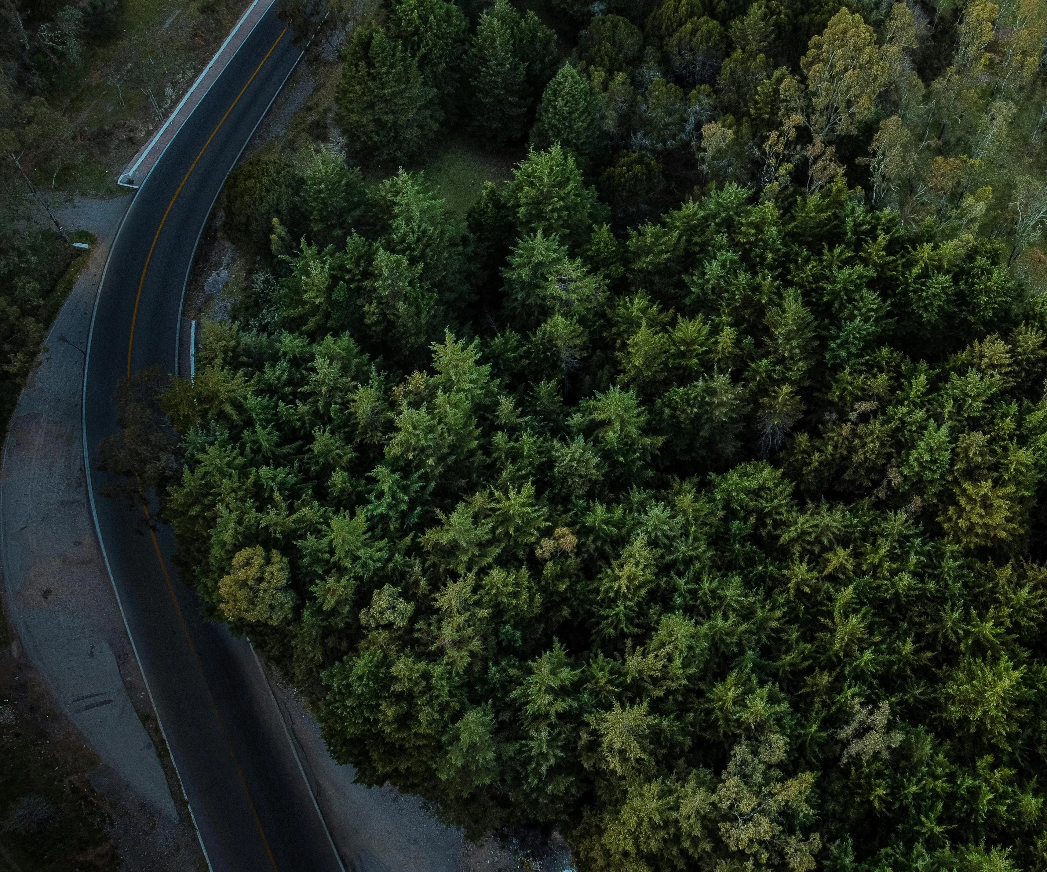 a winding road runs through the middle of some trees