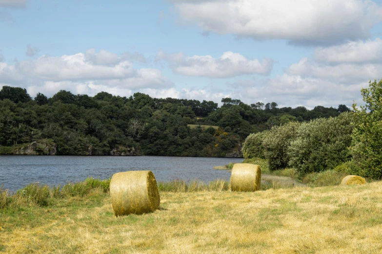 a few large hay bales are standing near the water