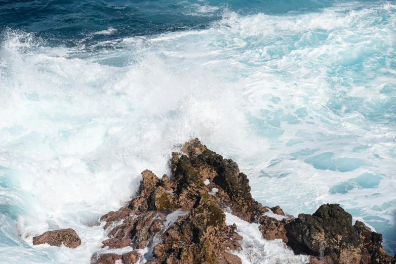 a bird sitting on top of some rocks by the water