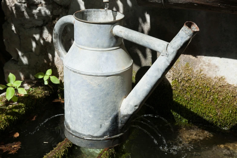 an old pitcher that is sitting on the ground next to water