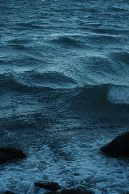 a bird is perched on rocks in the water