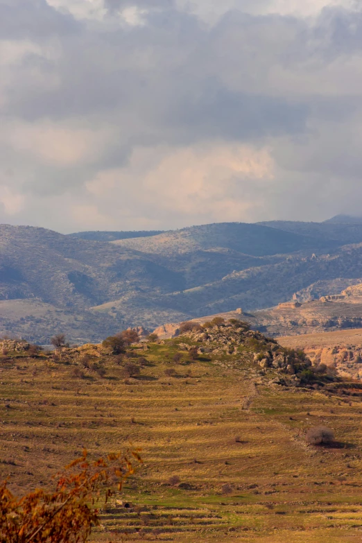 an image of a field with mountains in the background