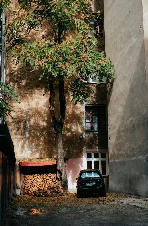 an old street corner with a tree and some cars parked in the background