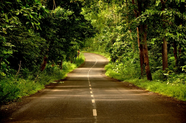 a very long road going through some trees