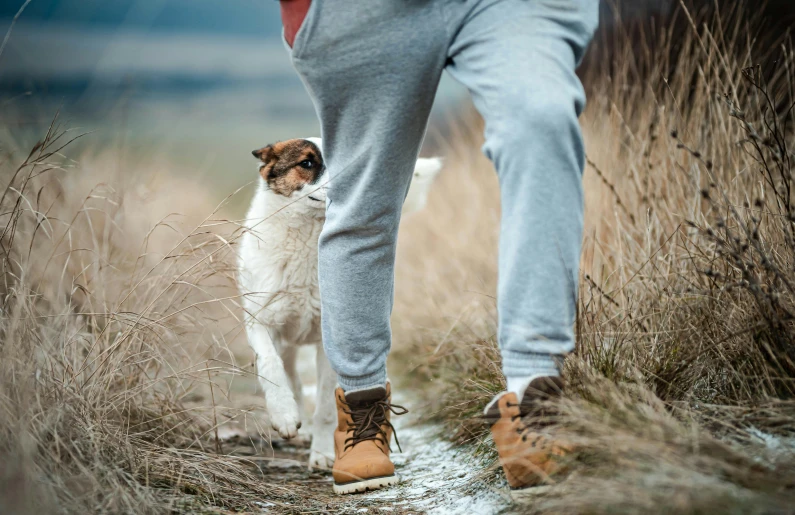 a person walks with a dog on a snowy path