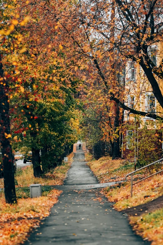 there is a picture of autumn leaves in a city