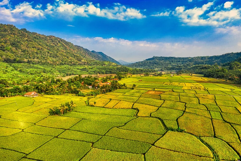 the valley is full of trees and grass