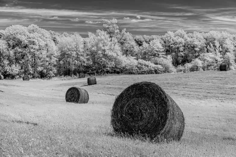 some hay bails are out in the field