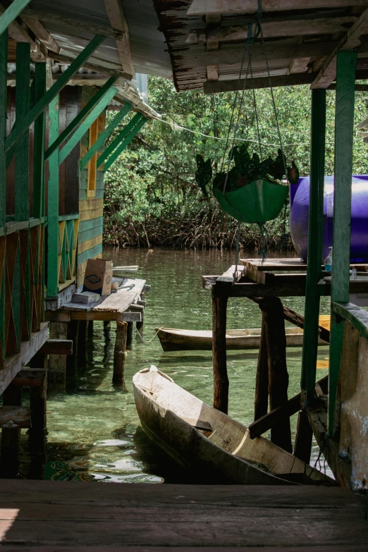 wooden boat in green lake surrounded by wooded area