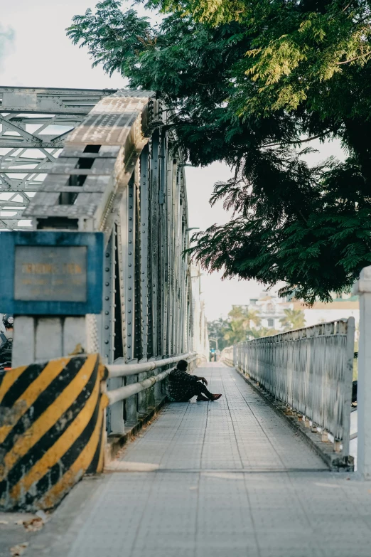 there are two trees on the side of this bridge