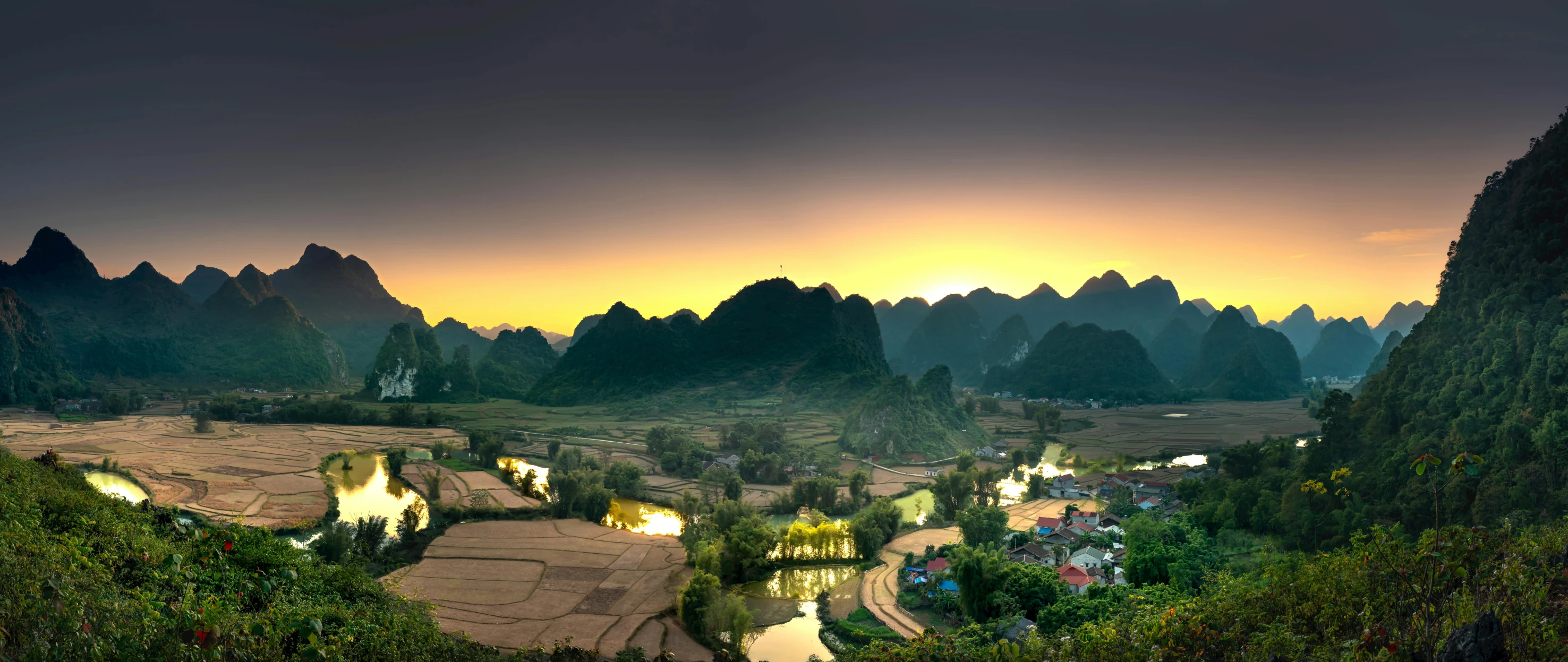 a group of trees and houses in the mountains