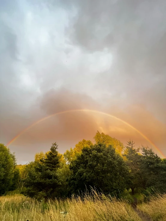 a rainbow setting in a beautiful, cloudy sky above a forest