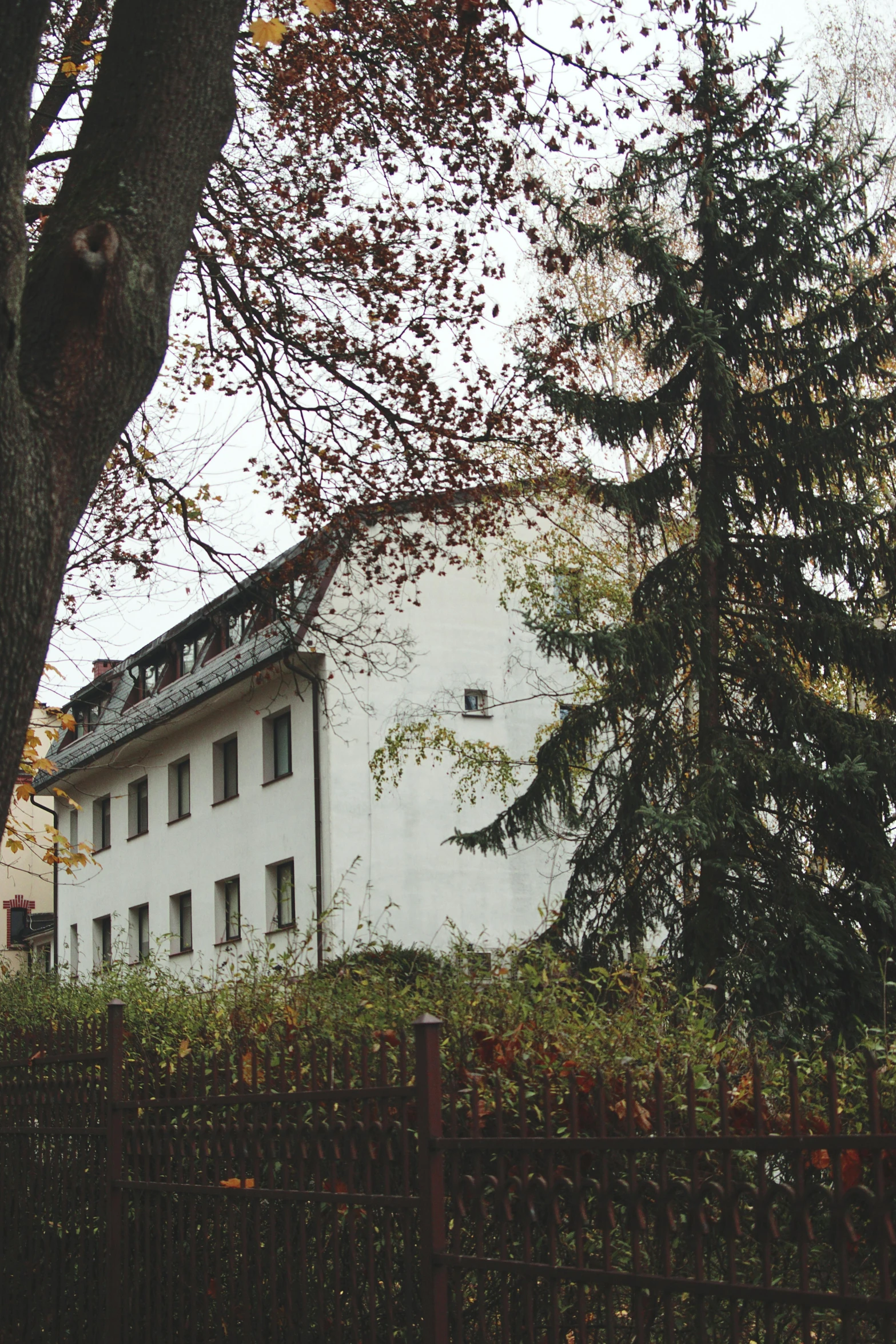 there is a very tall building near the trees