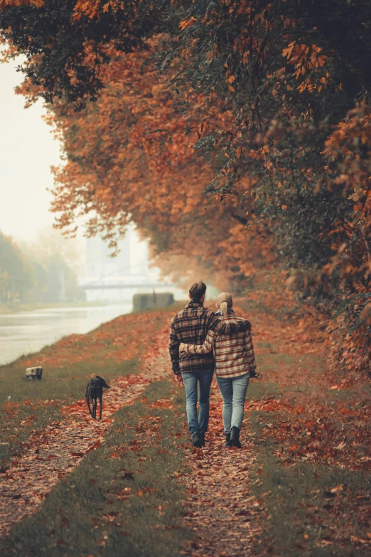 two people are walking along a path as dogs walk by