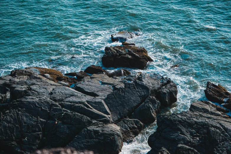 a black bird resting on top of rocks near the ocean