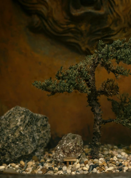 bonsai tree and rocks on display with rock art