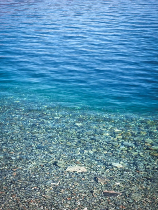 the shallow water is so clear that it looks like algae