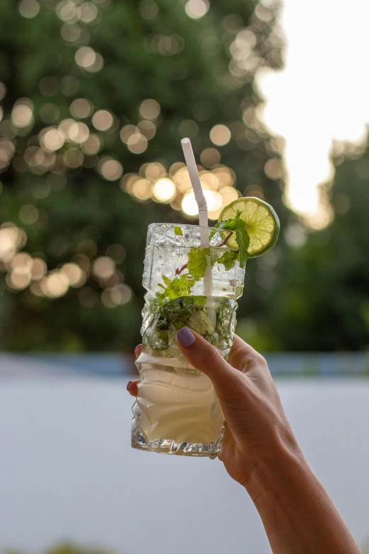 person holding up an ice cold drink with green leaves and limes