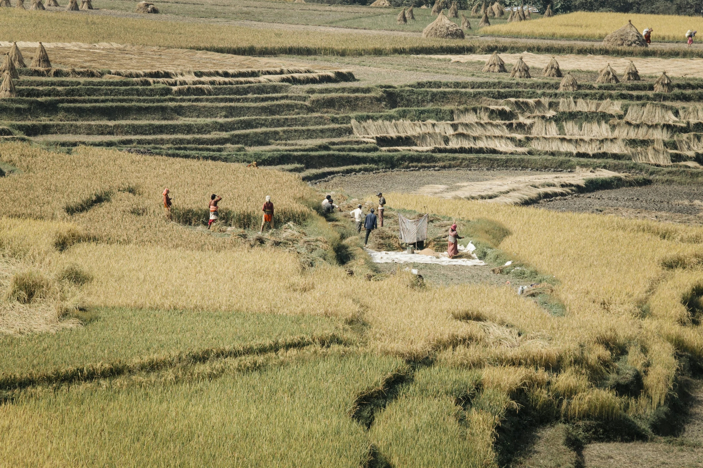 people are walking in the field while others walk along side