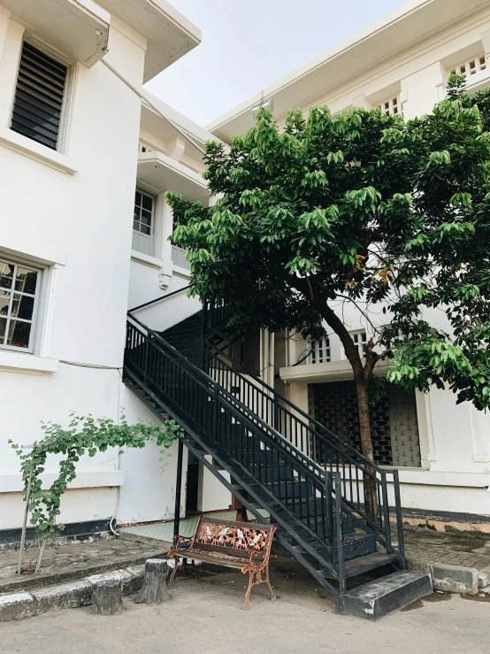 there is a large tree next to a building