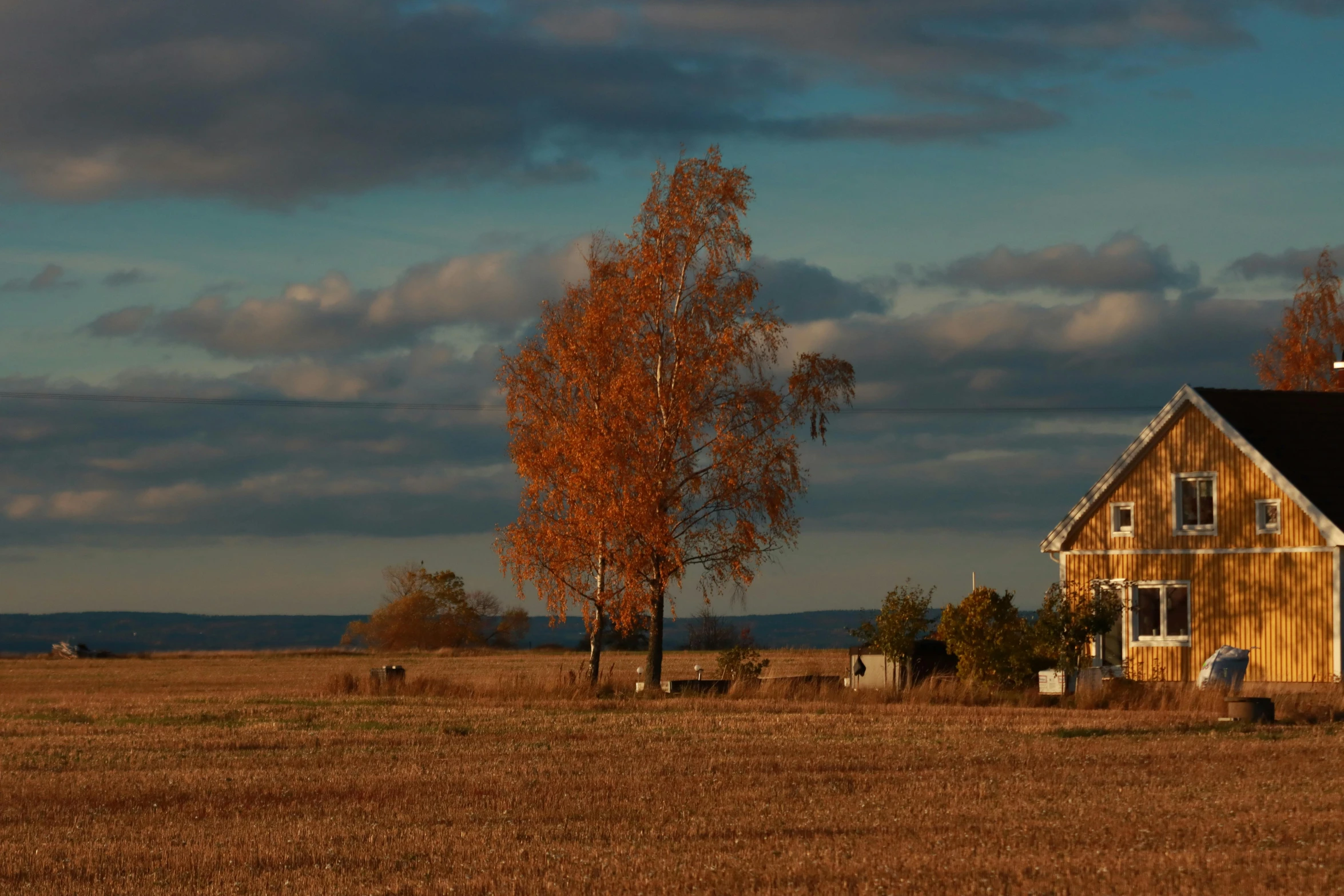 the view of a barn in the country side