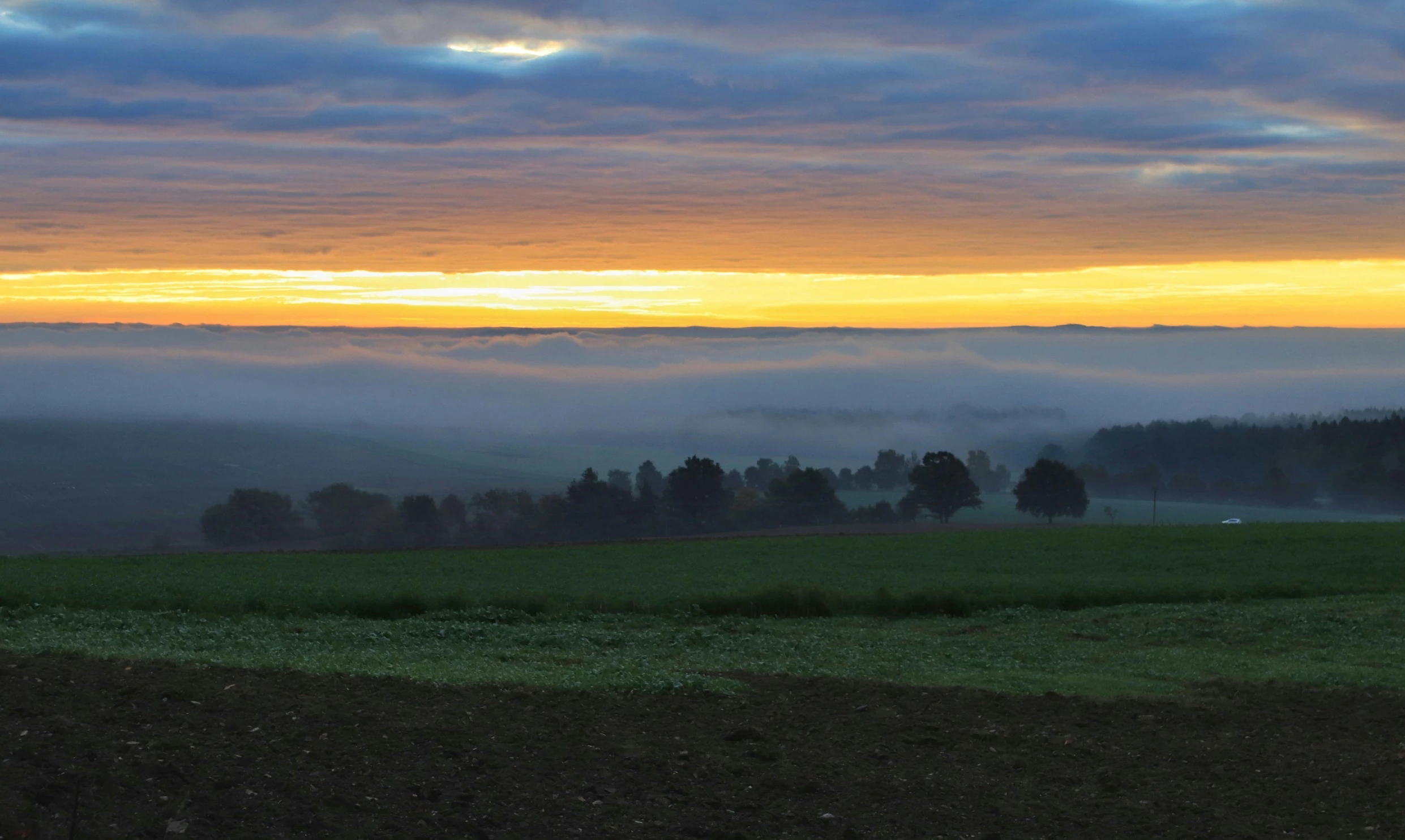 the sun is rising over some trees and mist