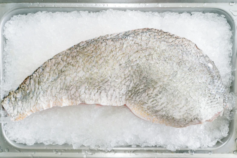 a piece of fish in a large container