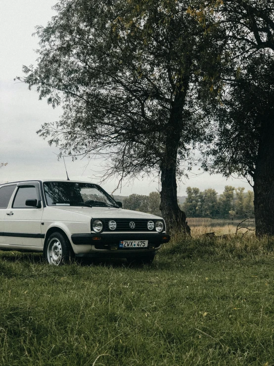 an old white station wagon in front of two trees