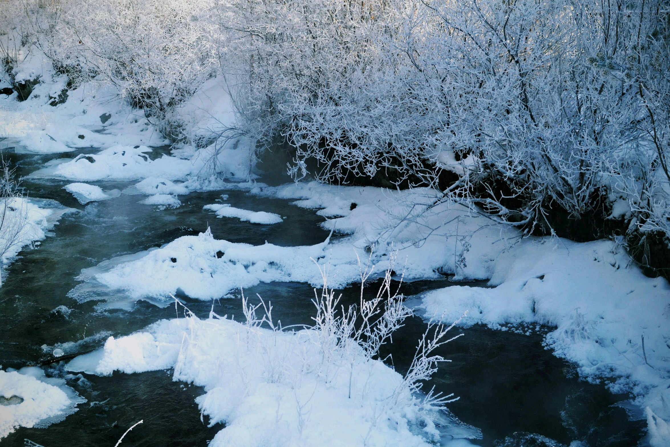 a small stream surrounded by snow covered bushes