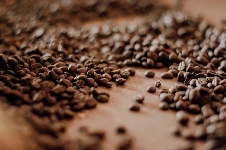 a couple of brown grains on a table