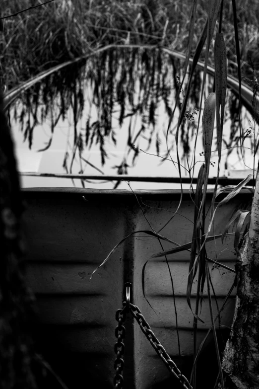 a boat is docked in some bushes outside