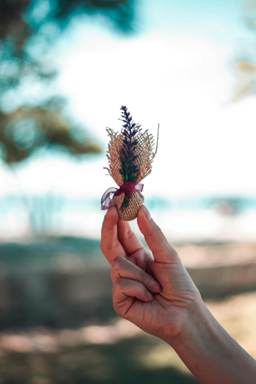 a person is holding a dried flower in their left hand