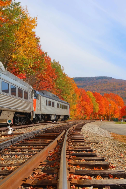 a train riding on the railroad tracks through fall foliage