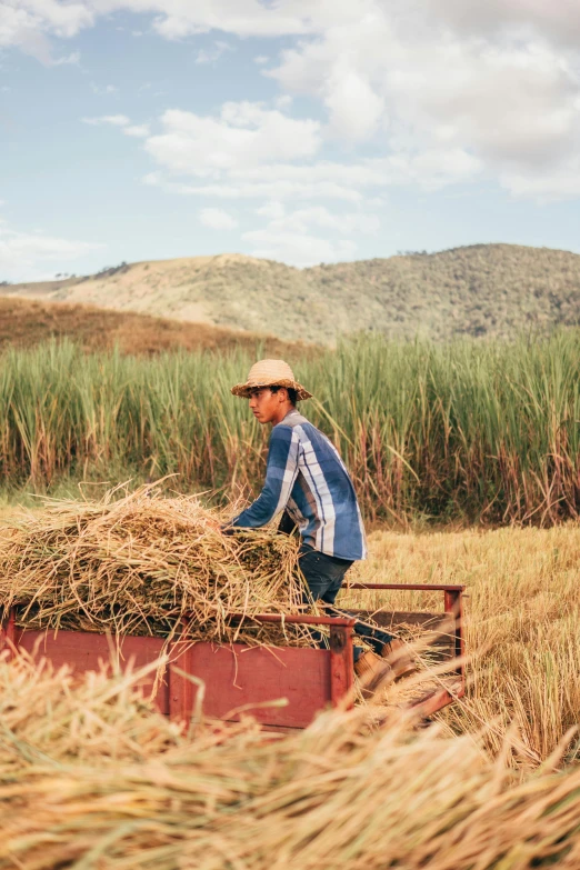 an asian man with a straw hat driving his old red truck