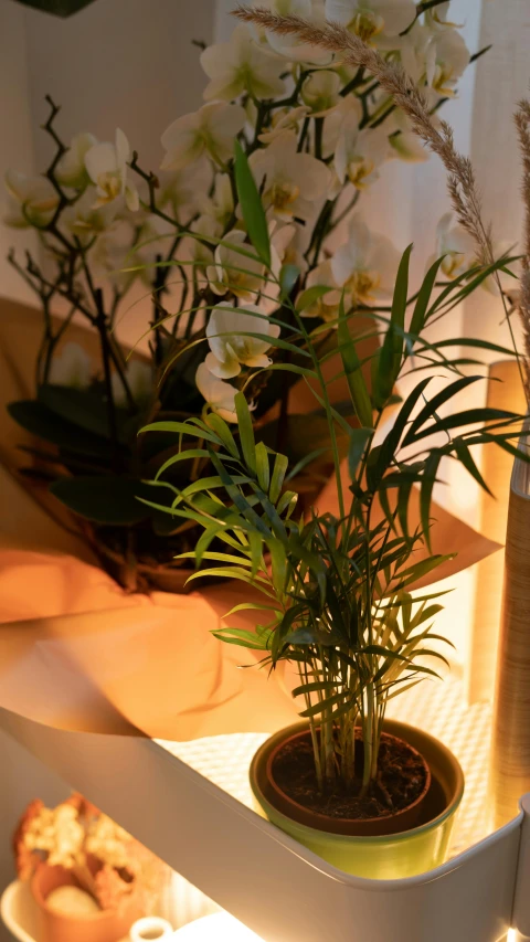 a green vase with flowers on a shelf