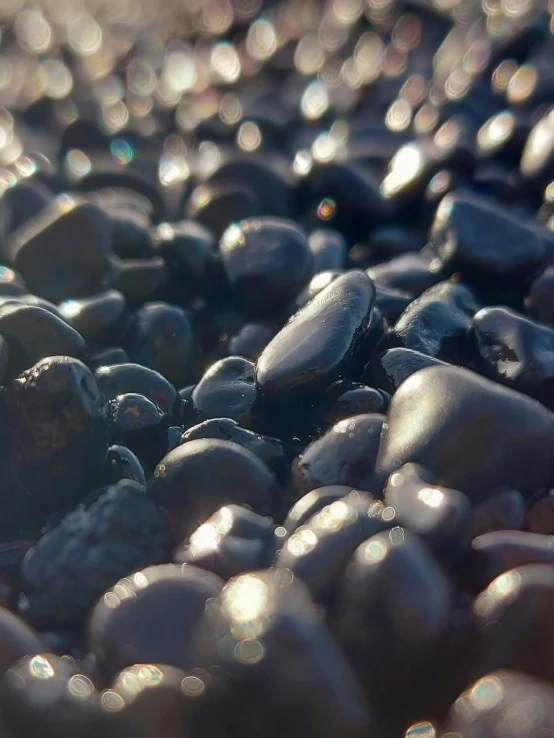 some rocks and pebbles are seen in the sunlight