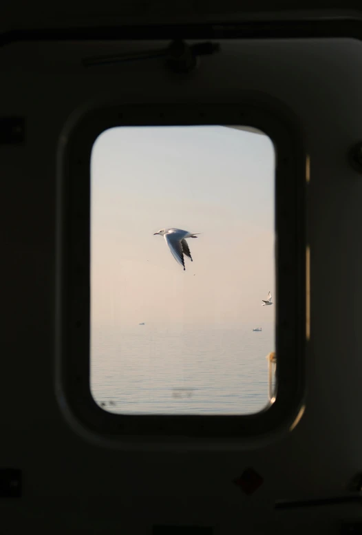 two birds are flying over a large body of water