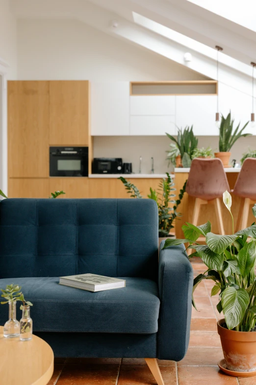 a living area with a couch and potted plants