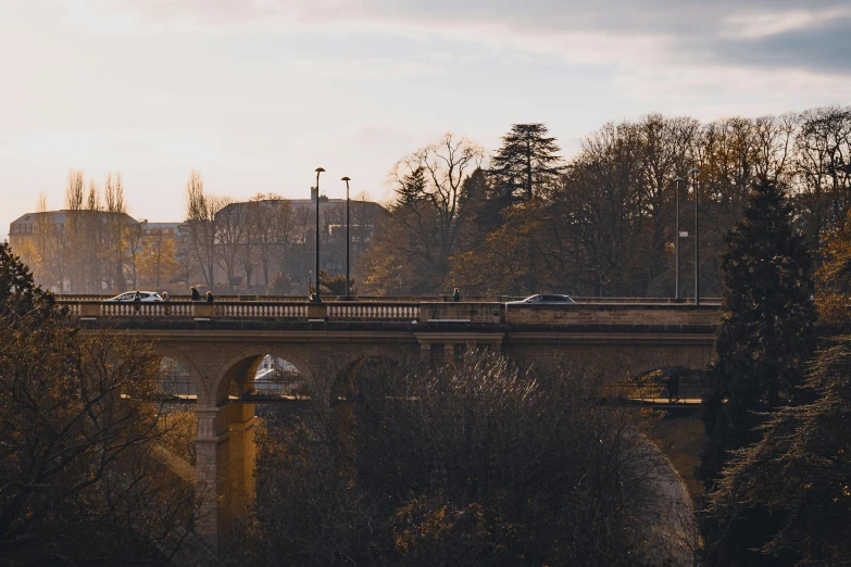 a bridge crossing a river and trees next to it