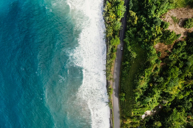 an aerial view shows the ocean and trees