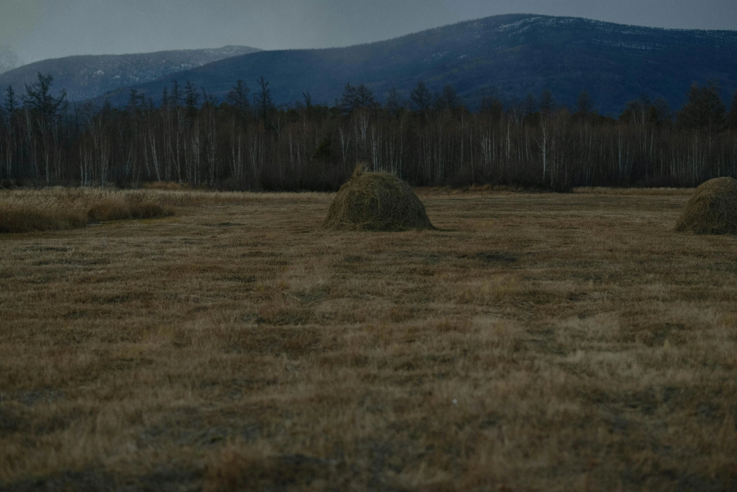 hay bales piled in a grassy field in front of some mountain ranges