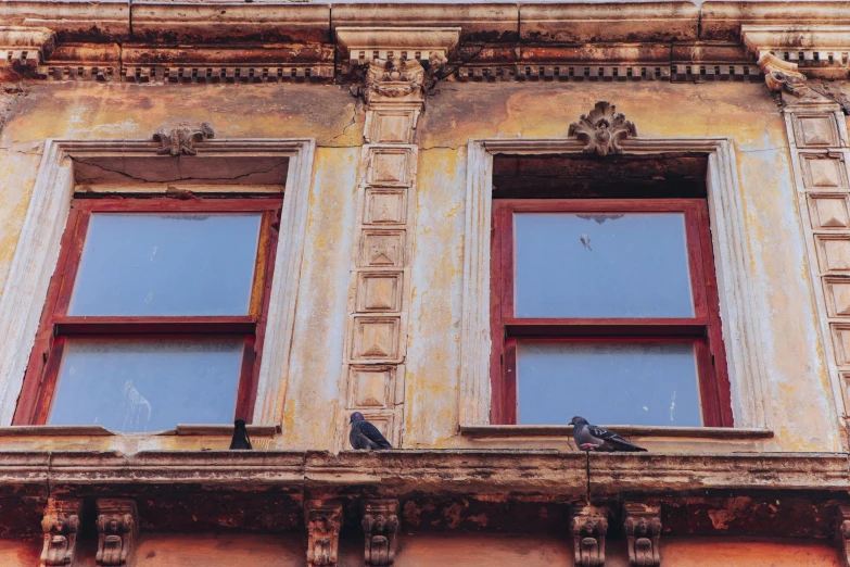 two birds are sitting on the ledge of an old building