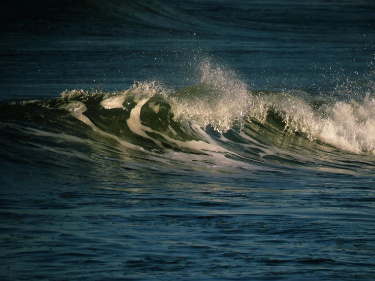 a surfer rides a wave in the ocean