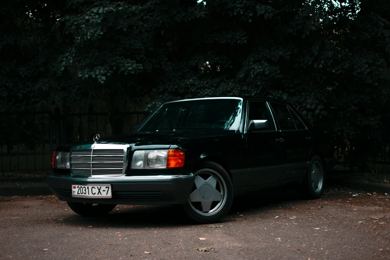a black mercedes parked by some bushes