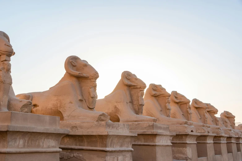 there are many statues of lions at the museum