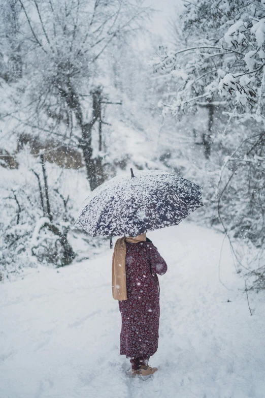 a woman walking in the snow carrying an umbrella