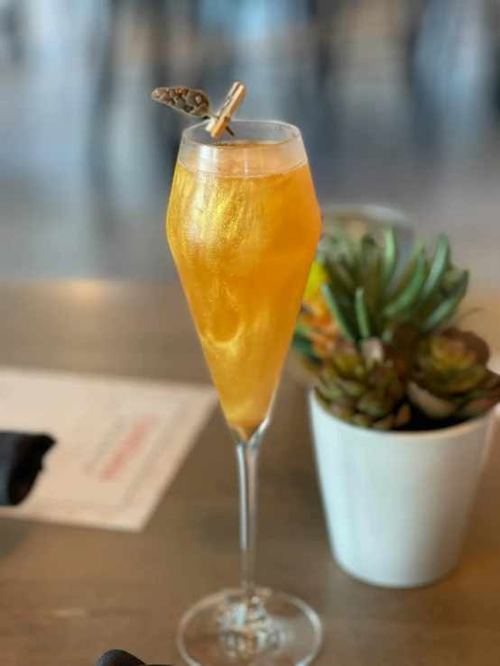 a glass with a cocktail and a small potted cactus