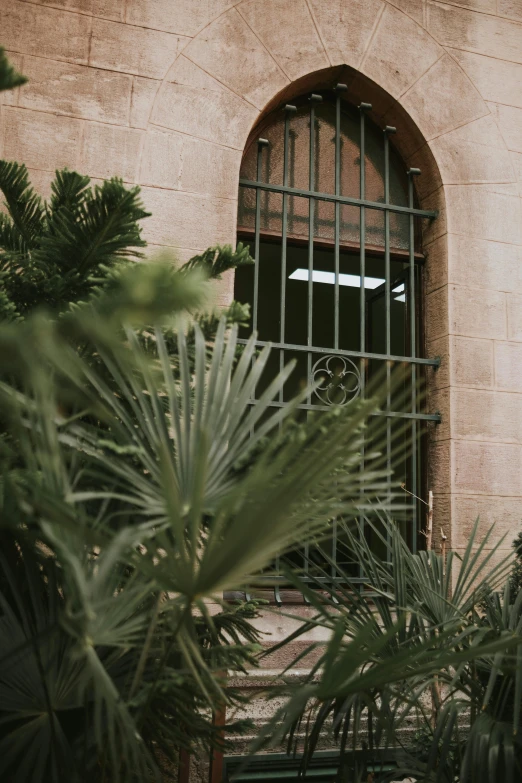 green plants and green bars next to an open window