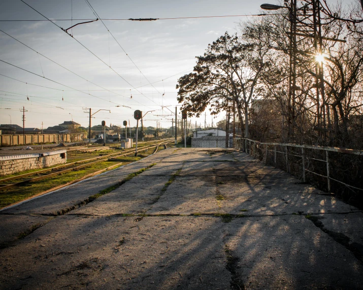 a deserted road has trees and power lines all around it