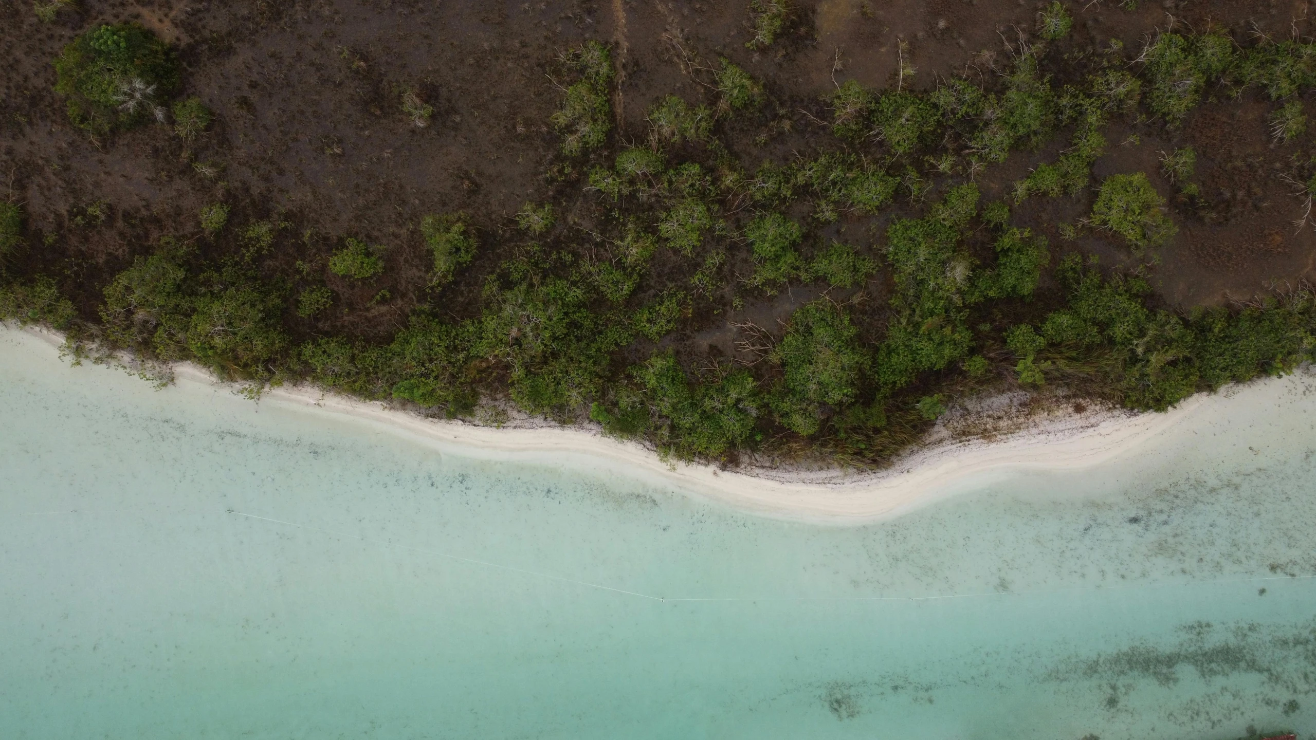 there are trees surrounding a sandy beach in the water